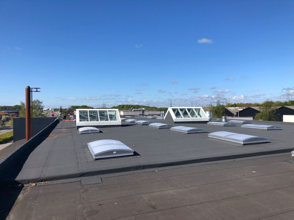 60118509 2572437556104370 5612173863774322688 n